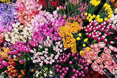 PS粉丝呼吁《地平线：西之绝境》Steam版加入D加密