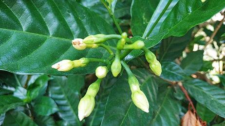 《噬血代码2》新预告 2026年1月30日发售